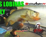 GRANDES LOBINAS CON MOSCA Vol.2 Anglers Tv